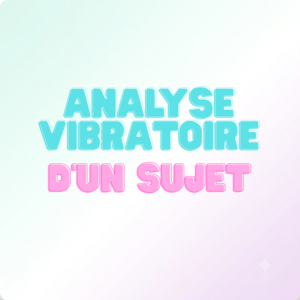 Analyse vibratoire d'un sujet